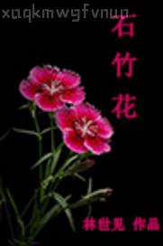 影音先鋒可以打開的網(wǎng)站