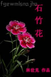被妹夫插